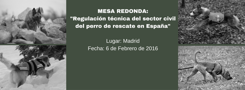 Los grupos de perros de rescate reclaman una regulación técnica