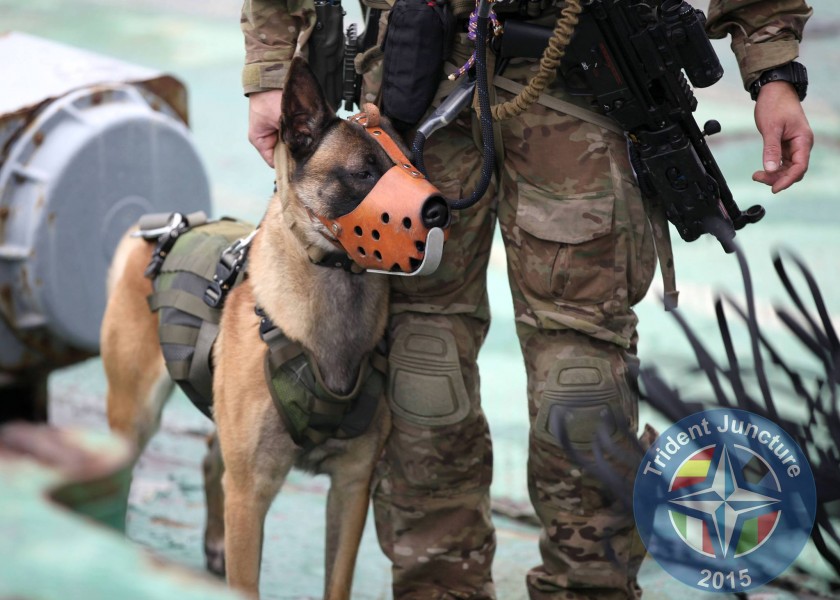 Perros militares en el Trident Juncture 2015
