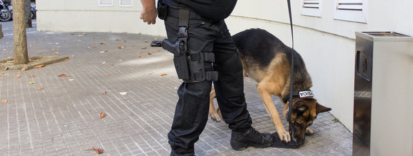 La unidad canina de la Policía de Girona detiene a un traficante