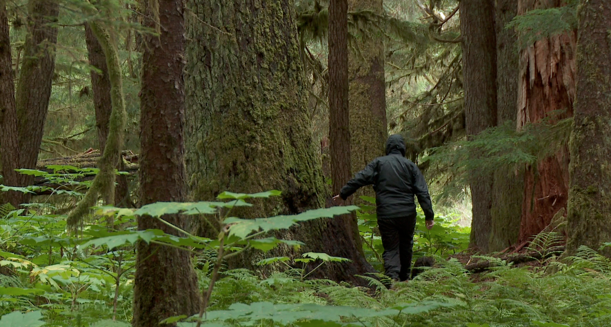 alt="salir al campo solo"