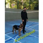 alt="homenaje a Diesel"