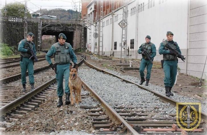 Grupo de Acción Rápida