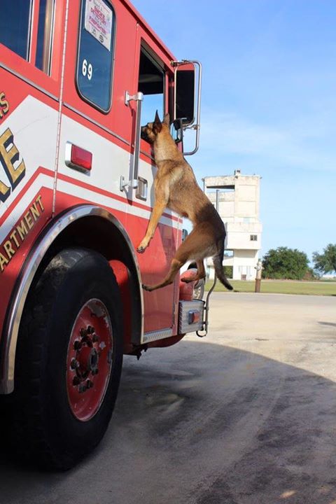 Katrina, la altura no es obstáculo