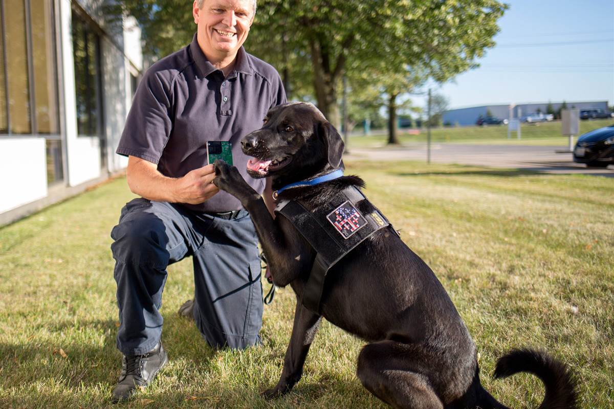 El porno también es objetivo de los perros detectores