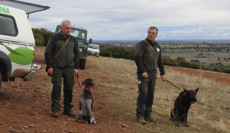 La ‘patrulla canina’ de la Junta trabaja contra los cebos envenenados
