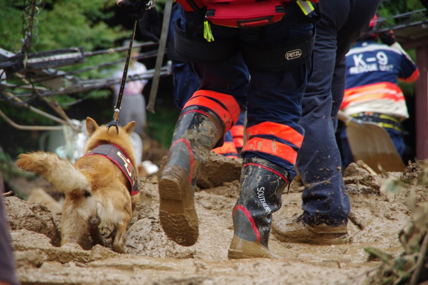 Código ético del guia canino de perros de rescate