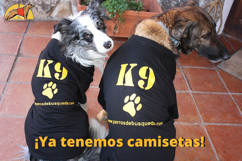 ¡ Estrenamos camisetas… y tienda !
