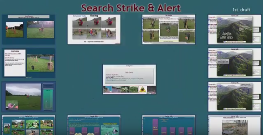 Formación de un equipo canino de búsqueda de personas (vídeos)