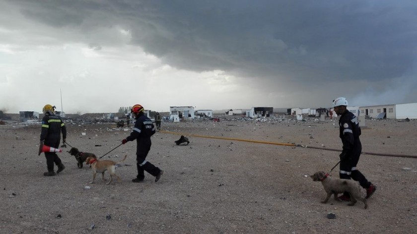 Homenaje a los perros que trabajaron tras la explosión en la fábrica de pirotecnia en Zaragoza