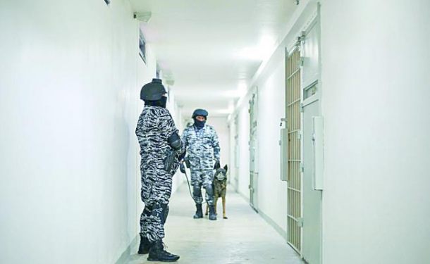 Perros ‘huele-Chapo’ entrenados para controlar al narco