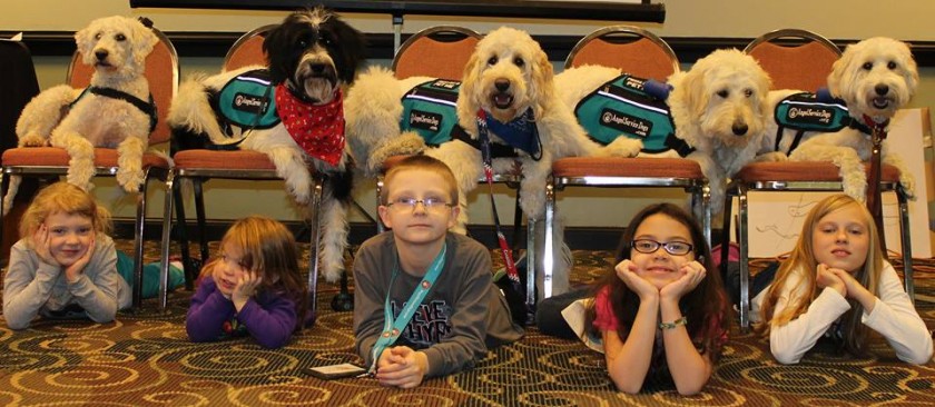 Denuncian Angel Service Dogs venta perros detectores mal entrenados