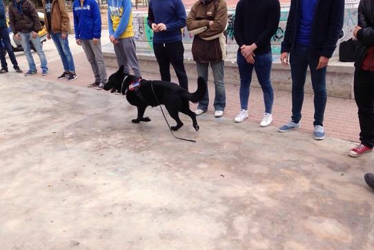 Unidad canina realiza campaña de control, prevención del consumo y venta de drogas en institutos y colegios