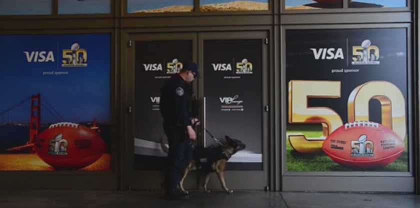 Perros detectores entrenan para la Super Bowl