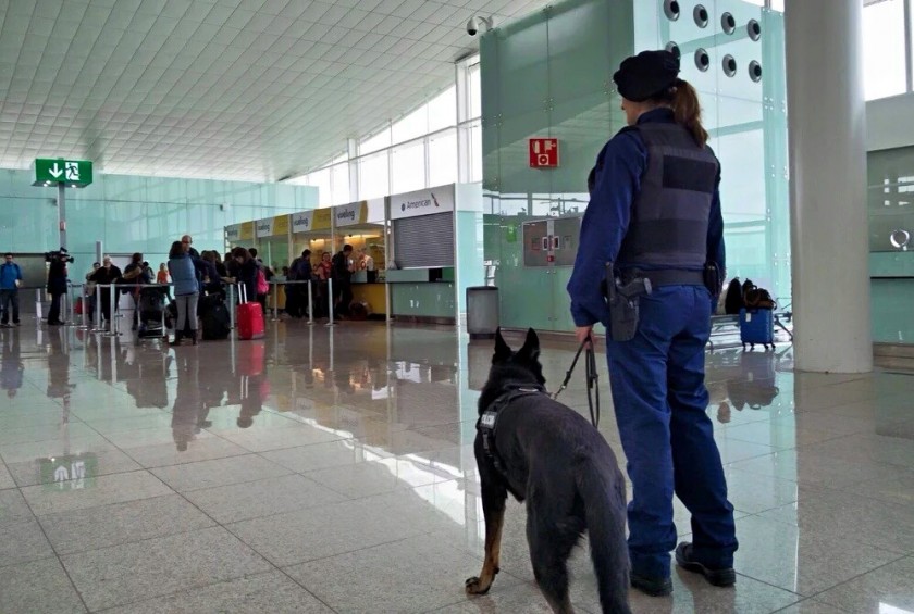 Unidad canina en el aeropuerto del Prat