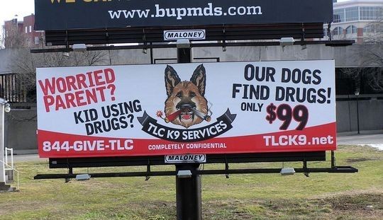 Alquiler de perros detectores de droga… ¡para registrar las habitaciones de sus hijos!