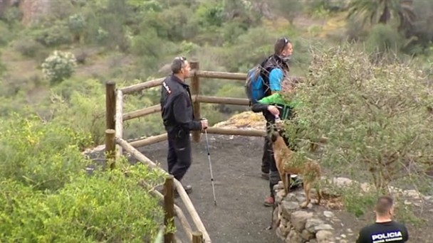 Un perro detector localiza el cuerpo de la mujer desaparecida en Bandama