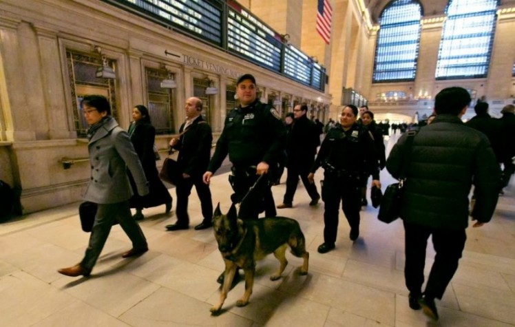 Perros detectores en aeropuertos y metro de EEUU