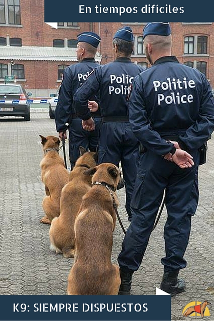 En tiempos difíciles: K9