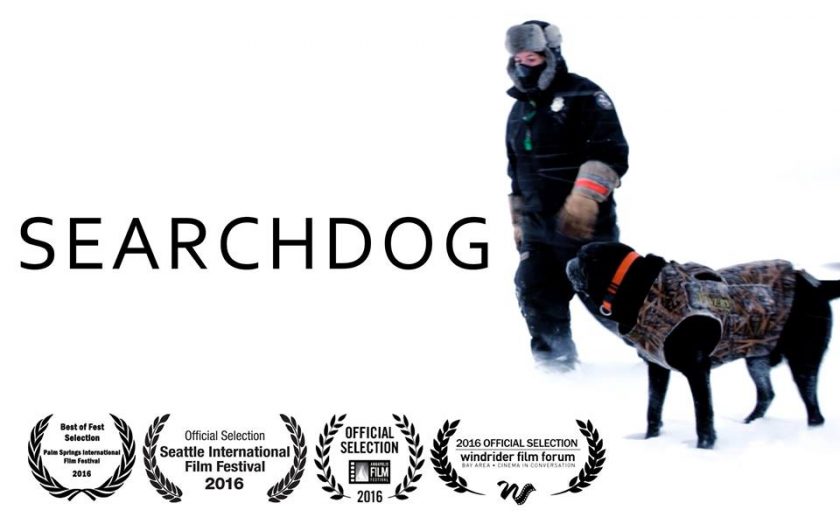Searchdog: una película sobre los perros de búsqueda