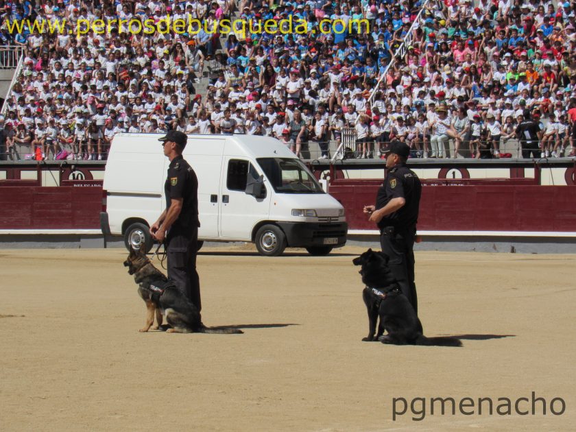 7ª Exhibición de Policía Nacional en Las Ventas