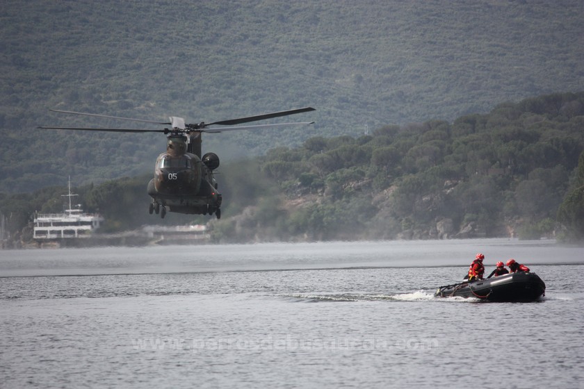 Reportaje: I Jornadas Técnicas del Perro de Intervención