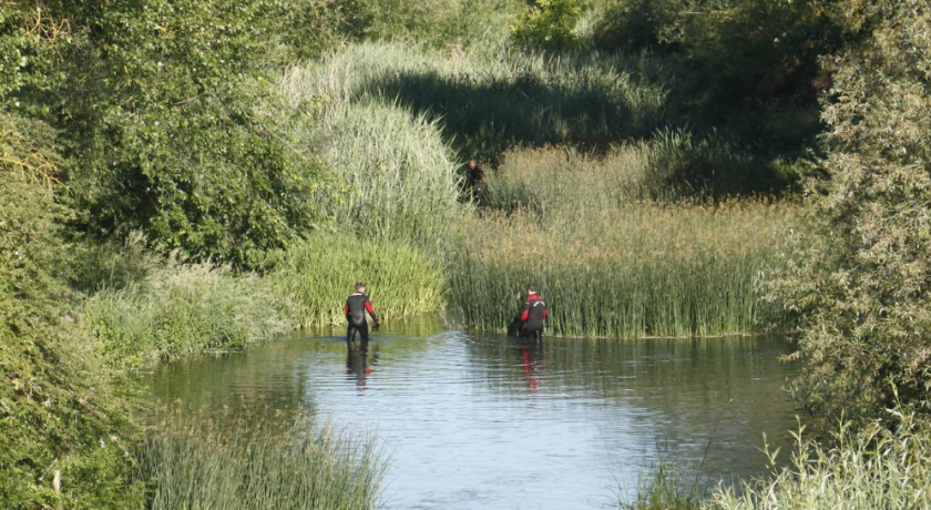 Un perro de la Ertzaintza halla el torso de la mujer descuartizada en Vitoria