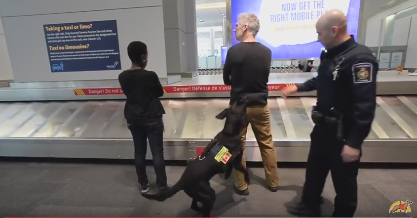 Detectando dinero en la frontera canadiense