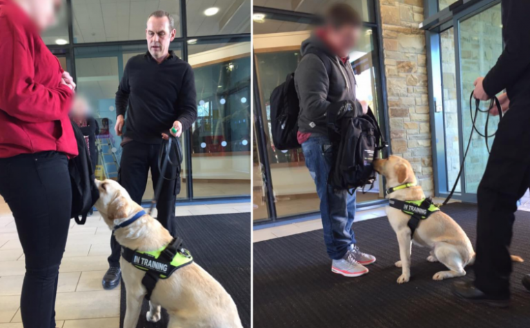 Perros de Detección de Cuarentenas contra el contrabando de carne cruda