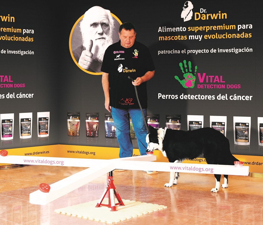 Perros adiestrados detectan un 87% de casos de cáncer de próstata