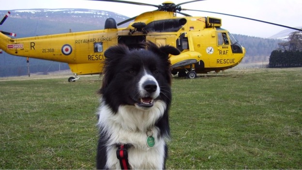 Homenaje a Byron, un gran perro de rescate
