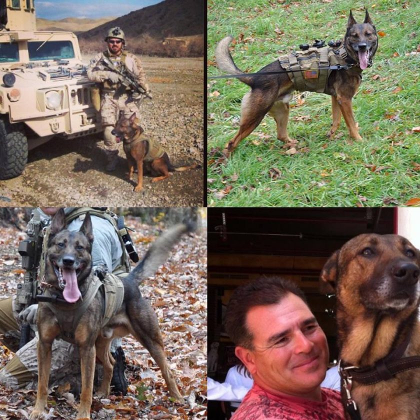 Descanse en paz Cairo, un gran veterano