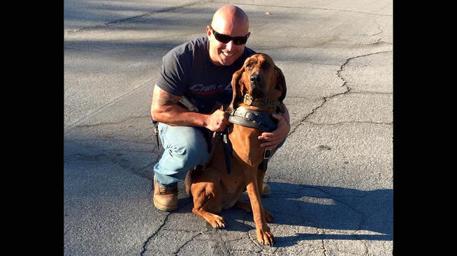 Deja, el agente canino que siguió el rastro de una chica secuestrada