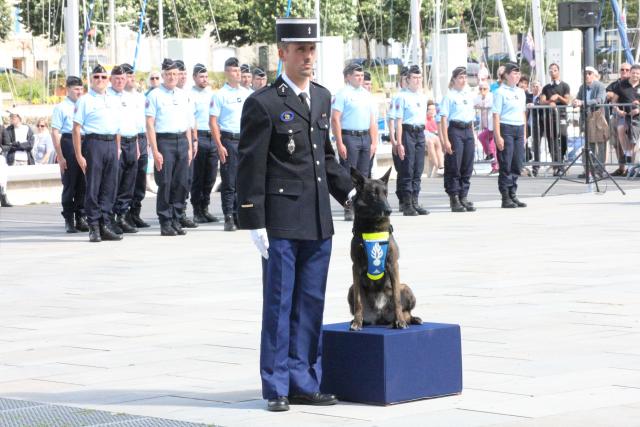 Luca, una perra de estupefacientes condecorada