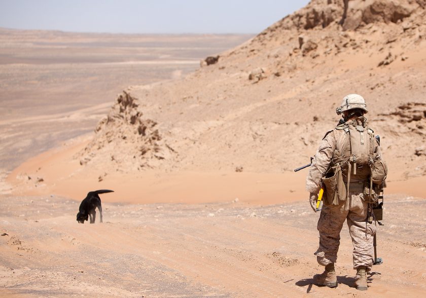 La imagen: Detección de artefactos explosivos improvisados