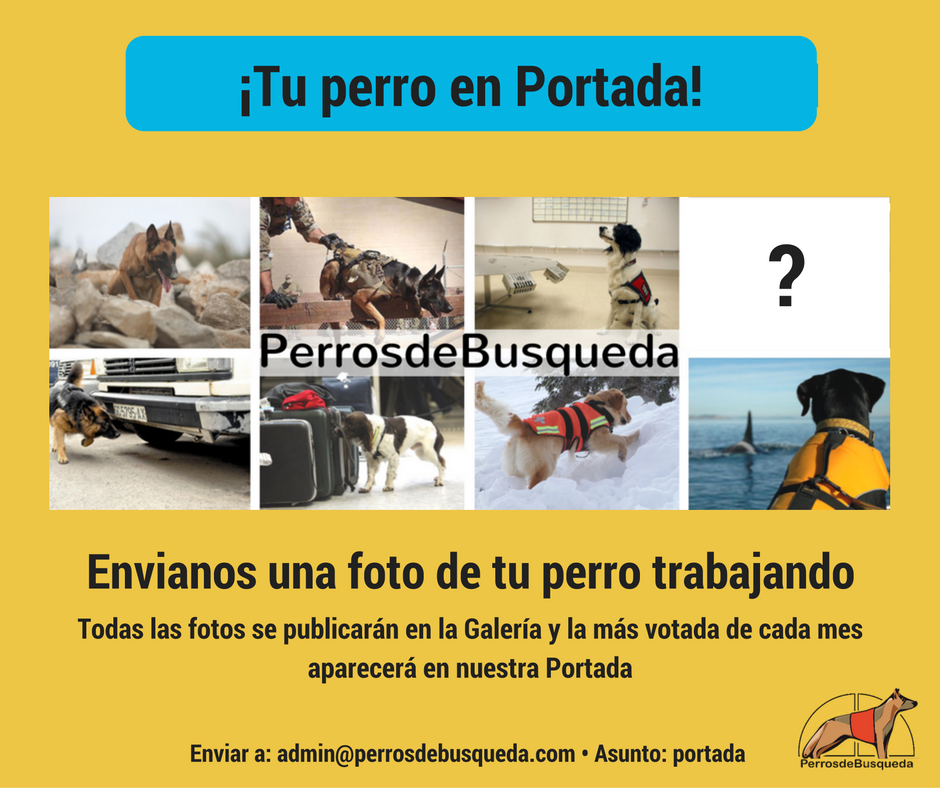 Tu perro en la portada