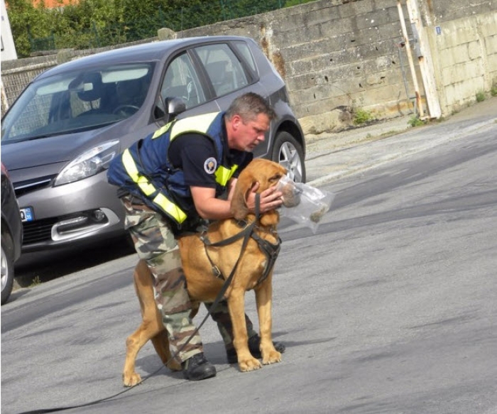 Un anciano desaparecido localizado gracias a un perro de rastro