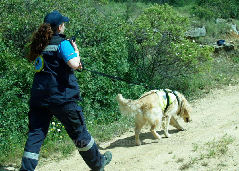 La búsqueda de personas desaparecidas no es como lo pintan en las películas