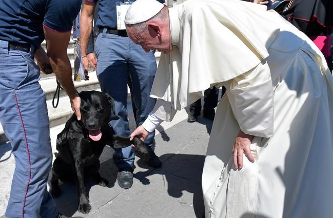 Leo, un perro de búsqueda, felicitado por el Papa