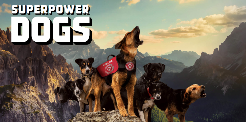 Superpower Dogs, la película sobre los super perros