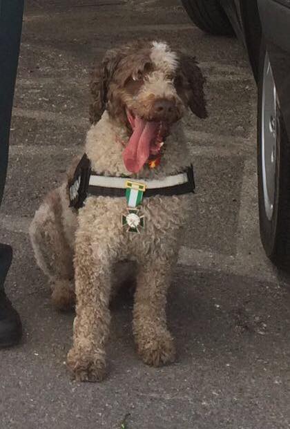 Turco, otro héroe silencioso reconocido