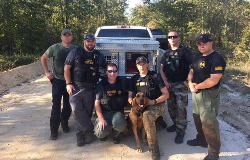 Tras rastrearle por bosques y un pantano, los sabuesos atrapan a un sospechoso