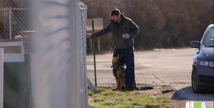 Una perra detectora de cáncer y su mejor amigo Clint