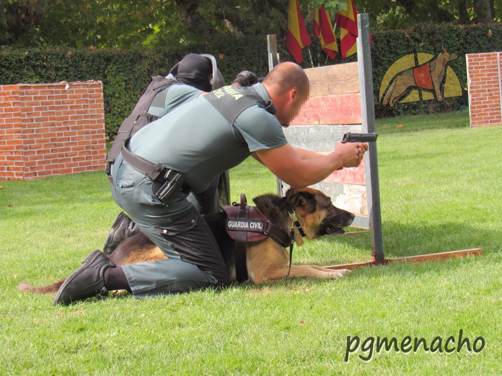 Celebración de la Virgen del Pilar, un año más