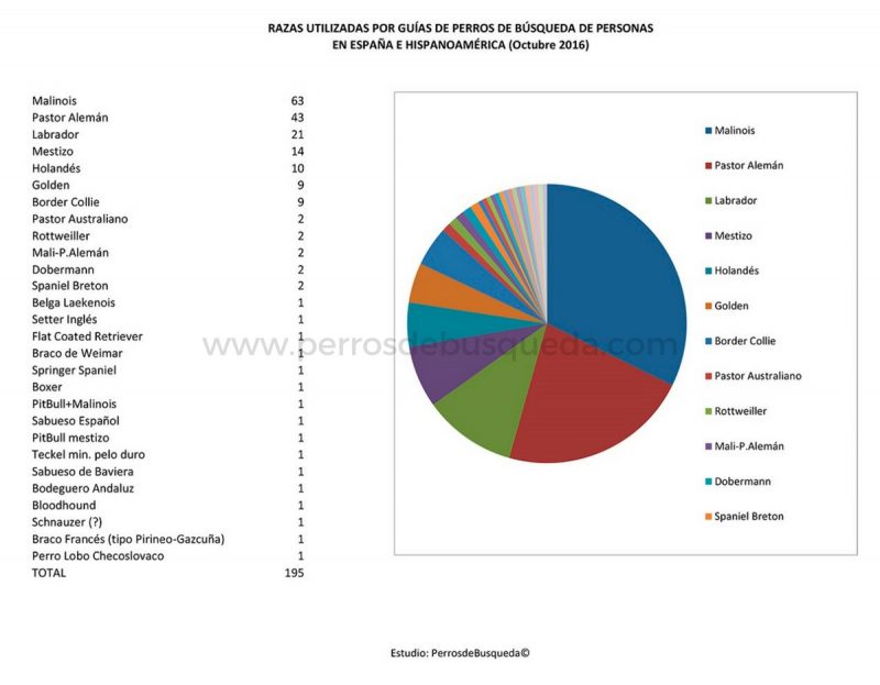 Malinois y Pastores Alemanes, las dos razas preferidas por los grupos de rescate