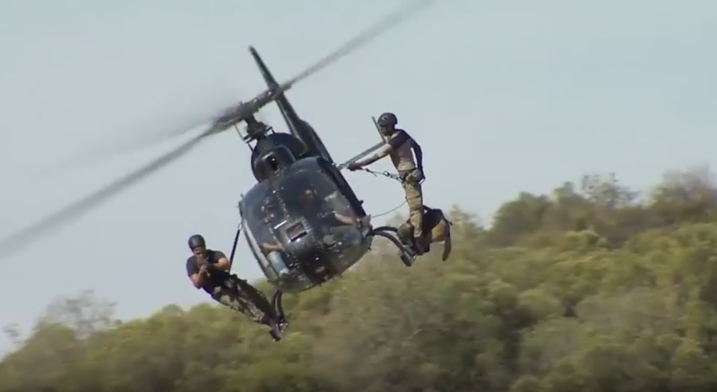 Perros anti-furtivos toman los cielos