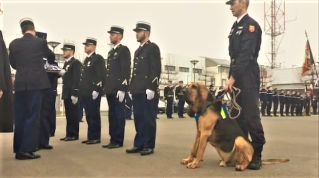 Djembe, medalla de bronce de la Defensa Nacional