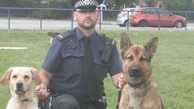 Un perro policía muere atropellado cuando buscaba a un sospechoso