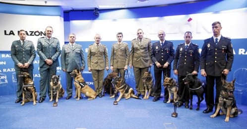 Premios Alfonso Ussia 2016: héroes caninos