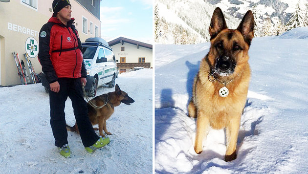 Un perro rescata a un esquiador enterrado por una avalancha