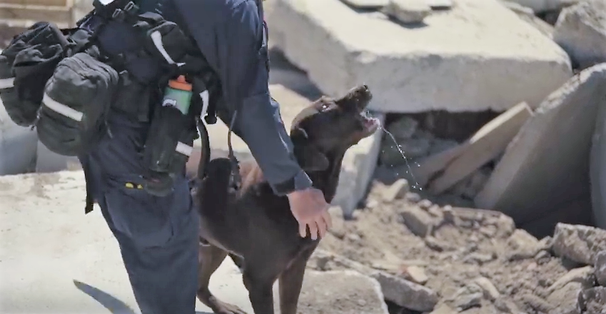 La National Disaster Search Dog Foundation y su centro de entrenamiento